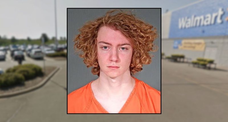 Man with 'bad thoughts' stabs girl he met on Snapchat