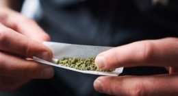The higher potency of marijuana today is a growing concern when it comes to potential health harms, experts say.