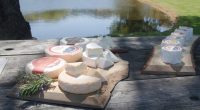 Marin French Cheese Company is celebrating 160 years of cheese