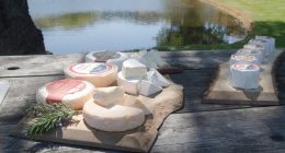 Marin French Cheese Company is celebrating 160 years of cheese
