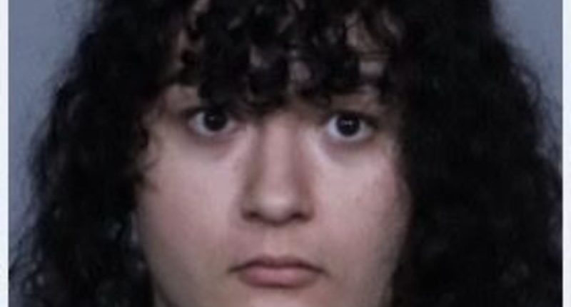 Masked flag-wielding trans protestor arrested for attacking activist
