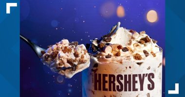 McDonald's s'mores McFlurry: Fast-food chain brings campfire sweet to menu