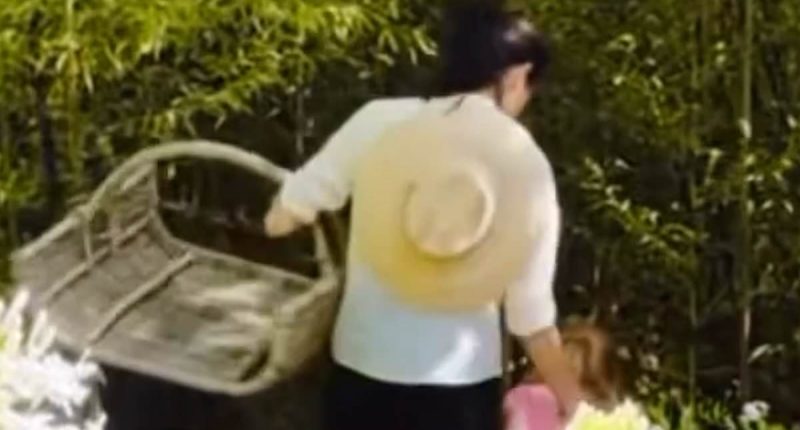 Meghan Markle shares a rare video of Lilibet playing with a Jellycat