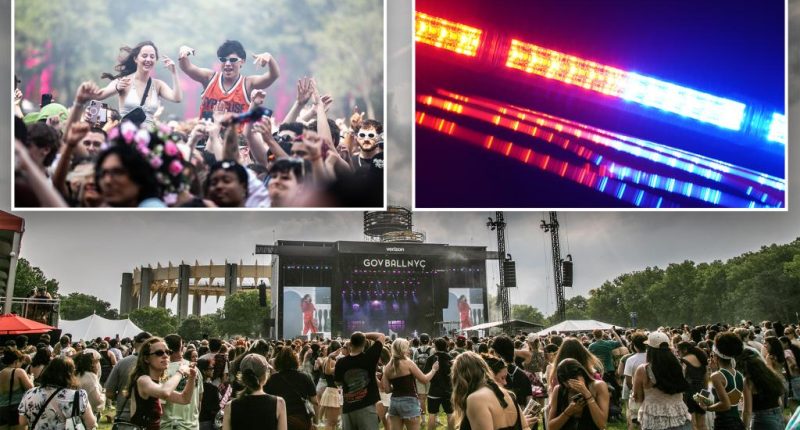 Migrant pickpocket crew nabbed working the crowd at NYC Governor's Ball Festival: police