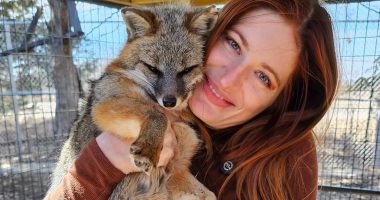Mikayla Raines dead at 29 after being 'relentlessly bullied'