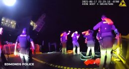 Mini Cooper driver filmed being rescued after 100mph chase killed two