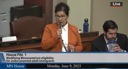 Minnesota state representative admits she is in the US illegally during legislative debate