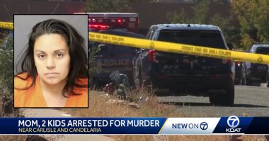Mom who drove teen kids to allegedly kill man is sentenced