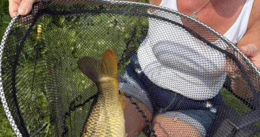 Woman holding a large fish in a net.