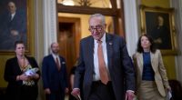 Musk calls Trump's big tax break bill a 'disgusting abomination,' testing his influence over the GOP