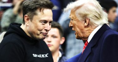 Musk offers stunning olive branch to Trump as bromance disintegrates