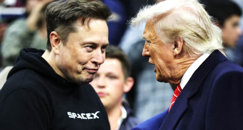 Musk offers stunning olive branch to Trump as bromance disintegrates