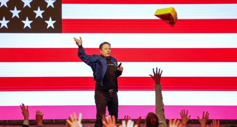 Musk sued for paying voters in Wisconsin high court election