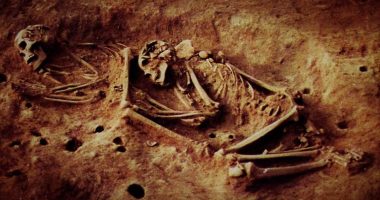 Mysterious 6,000-year-old remains with never-before-seen DNA