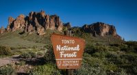 Mystery as teen couple are found dead in remote national forest