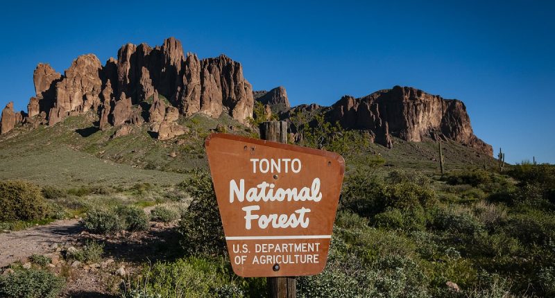 Mystery as teen couple are found dead in remote national forest