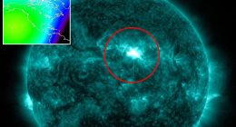 A powerful solar flare erupted from the sun on Tuesday, prompting warnings from NASA about potential blackouts and communication disruptions. The solar flare, classified as an X1.2 flare, one of the most severe types, exploded from the sun's Earth-facing side at around 6pm ET. 'X-class denotes the most intense flares, while the number provides more information about their strength,' NASA shared in a release.