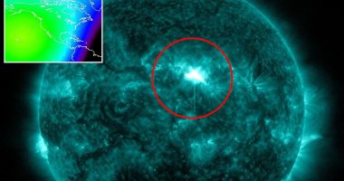A powerful solar flare erupted from the sun on Tuesday, prompting warnings from NASA about potential blackouts and communication disruptions. The solar flare, classified as an X1.2 flare, one of the most severe types, exploded from the sun's Earth-facing side at around 6pm ET. 'X-class denotes the most intense flares, while the number provides more information about their strength,' NASA shared in a release.