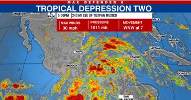 NHC issues warning as tropical depression two forms in the Gulf