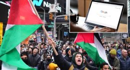 NY searched 'Free Palestine' online more than any other state: study