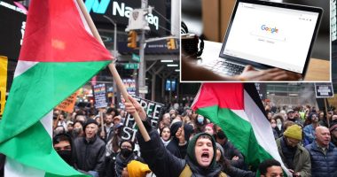 NY searched 'Free Palestine' online more than any other state: study