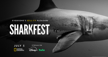 National Geographic's 'Sharkfest' lineup contains 25 hours of jaw-dropping fun, including 'Sharks Up Close' and 'Jaws @ 50'