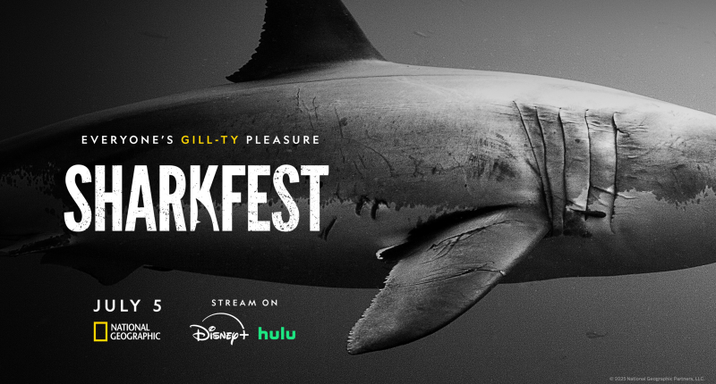 National Geographic's 'Sharkfest' lineup contains 25 hours of jaw-dropping fun, including 'Sharks Up Close' and 'Jaws @ 50'