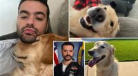 Navy sailor Paulo Silva documents search for missing dog Archie after return from 8-month deployment to Middle East on USS Truman