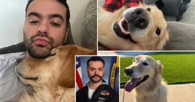 Navy sailor Paulo Silva documents search for missing dog Archie after return from 8-month deployment to Middle East on USS Truman
