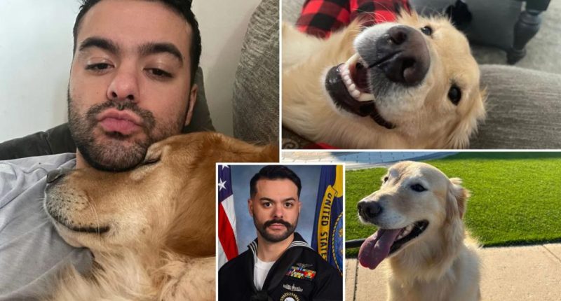 Navy sailor Paulo Silva documents search for missing dog Archie after return from 8-month deployment to Middle East on USS Truman
