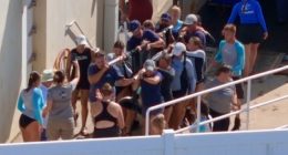 New dolphins arrive at Marineland