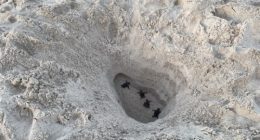 New rules at Anna Maria Island beach prevent digging huge holes in sand