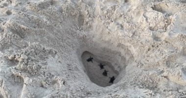 New rules at Anna Maria Island beach prevent digging huge holes in sand