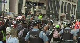 'No Kings Day' protests in Chicago, suburbs today: Rallies against ICE raids, Trump's military parade in DC for Army's 250th