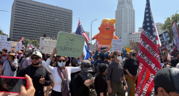 No Kings: protests in the eye of the storm