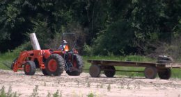 Nolichucky Restoration Project: 'The national forest needs our help'