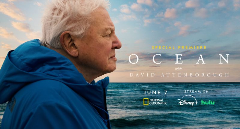 'Ocean with David Attenborough' brings to life 'his greatest message' and offers hope amid the ongoing climate crisis