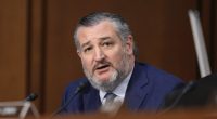 Oh My: Ted Cruz Ends Cory Booker With Epic Reply in Hearing About SCOTUS Protests