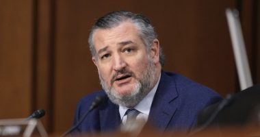 Oh My: Ted Cruz Ends Cory Booker With Epic Reply in Hearing About SCOTUS Protests