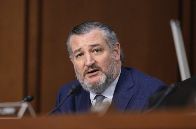 Oh My: Ted Cruz Ends Cory Booker With Epic Reply in Hearing About SCOTUS Protests