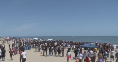 Orange Crush festival plans in motion, proposes 3-day event
