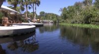 Otter attack at Wekiva Island sends victim to hospital