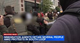 Over a dozen taken into ICE custody after being asked to attend routine check-in along Michigan in South Loop, Chicago: advocates