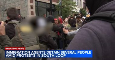 Over a dozen taken into ICE custody after being asked to attend routine check-in along Michigan in South Loop, Chicago: advocates