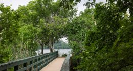 Over three dozen bodies found in Austin's Lady Bird Lake since 2022