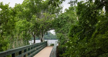 Over three dozen bodies found in Austin's Lady Bird Lake since 2022