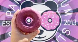 Pandamonium Doughnuts in Champaign closing near end of June