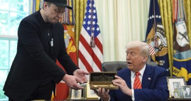 Peace in Our Time: Trump and Musk Will Reportedly Speak on Friday After Public Blowout