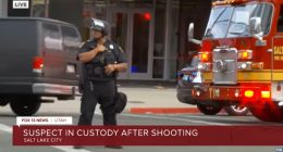 Peacekeeper at 'No Kings' rally shoots armed man: Cops