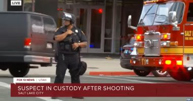 Peacekeeper at 'No Kings' rally shoots armed man: Cops